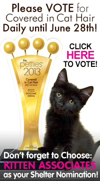 Pettie 2013 Plug B for cich.jpg